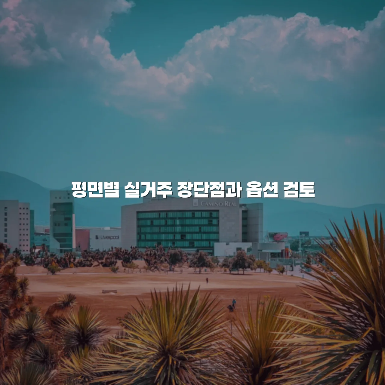 중앙공원 롯데캐슬 실거주 판단 체크리스트
