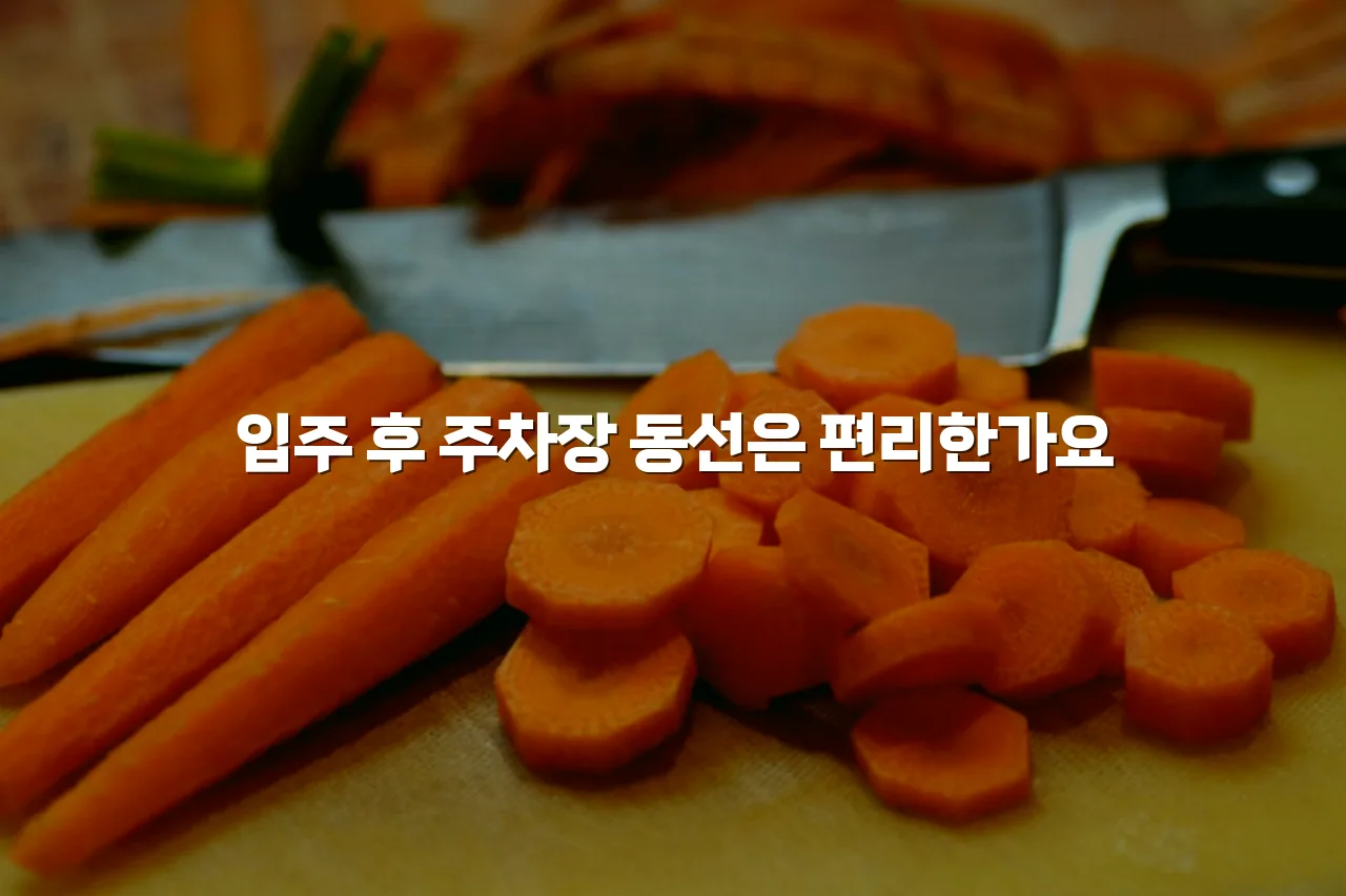 송암공원 중흥S클래스 생활동선과 편의시설 체크리스트 3 송암공원 중흥S클래스 생활동선과 편의시설 체크리스트