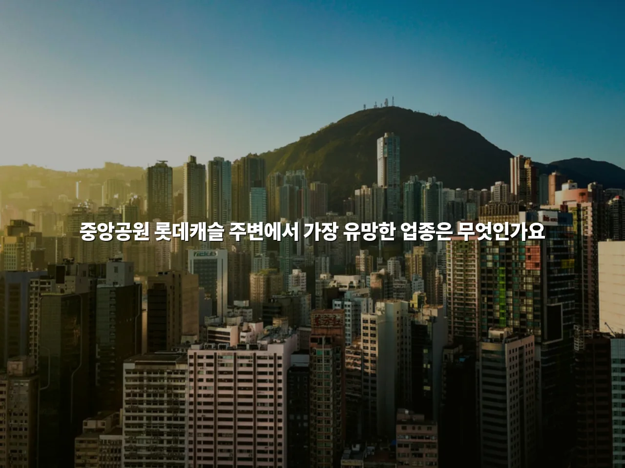 중앙공원 롯데캐슬 인근 상업 편의시설 업종별 총정리 3 중앙공원 롯데캐슬 인근 상업 편의시설 업종별 총정리