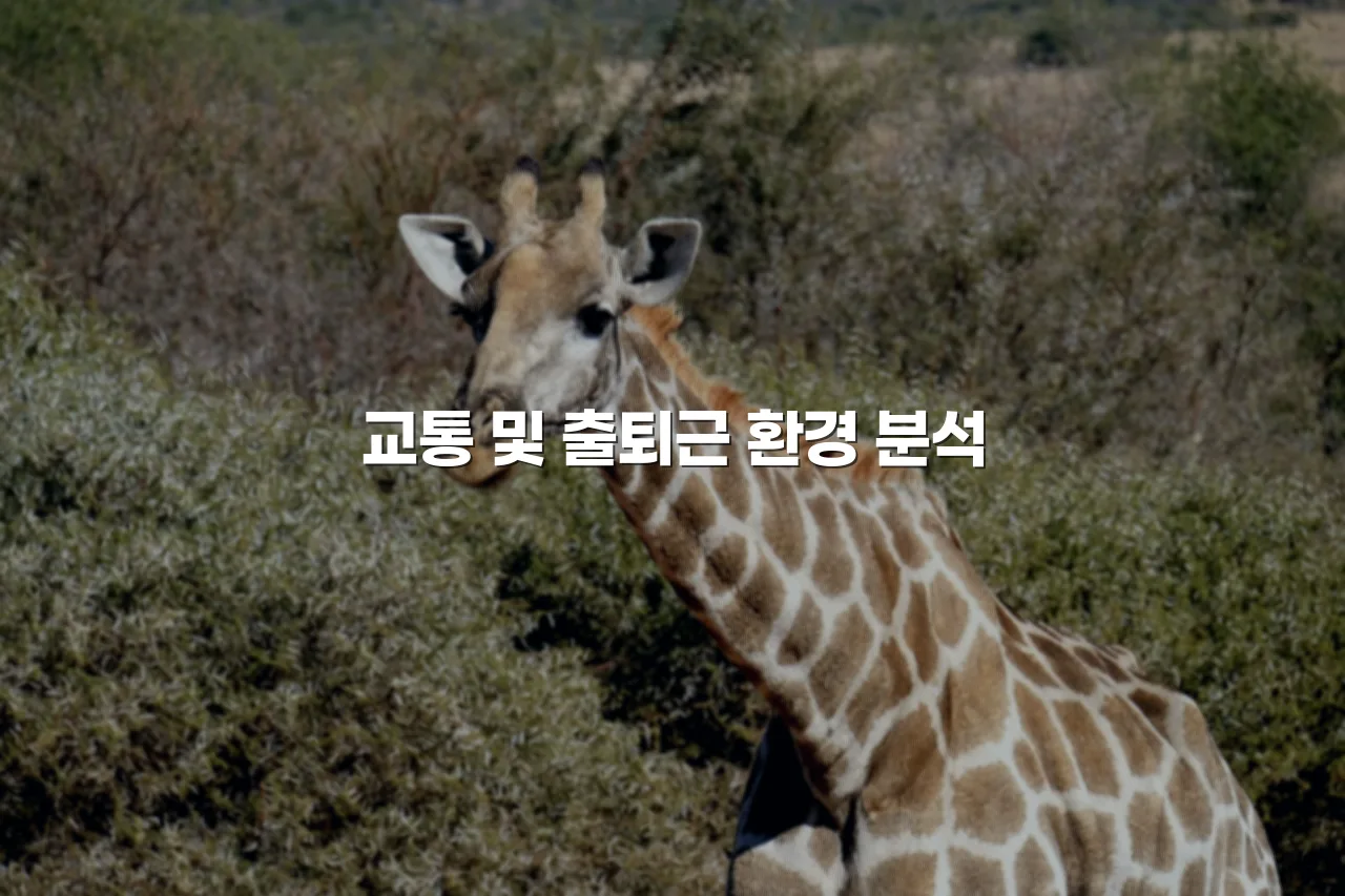 송암공원 중흥S클래스 주변 지역특성 총정리 3 송암공원 중흥S클래스 주변 지역특성 총정리