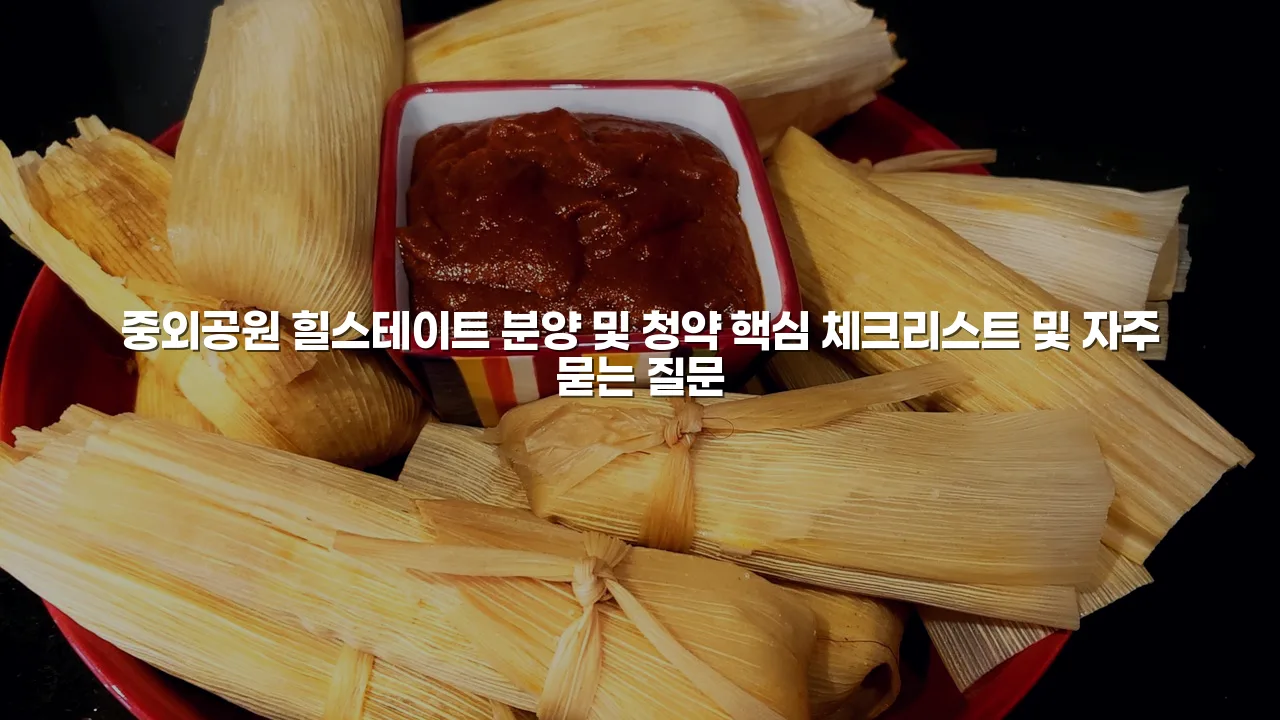중외공원 힐스테이트 분양 및 청약 핵심 체크리스트 3 중외공원 힐스테이트 분양 및 청약 핵심 체크리스트