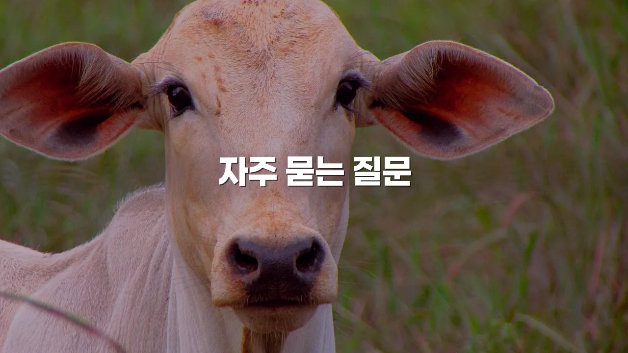 중외공원 힐스테이트 분양 및 청약 핵심 체크리스트 4 중외공원 힐스테이트 분양 및 청약 핵심 체크리스트