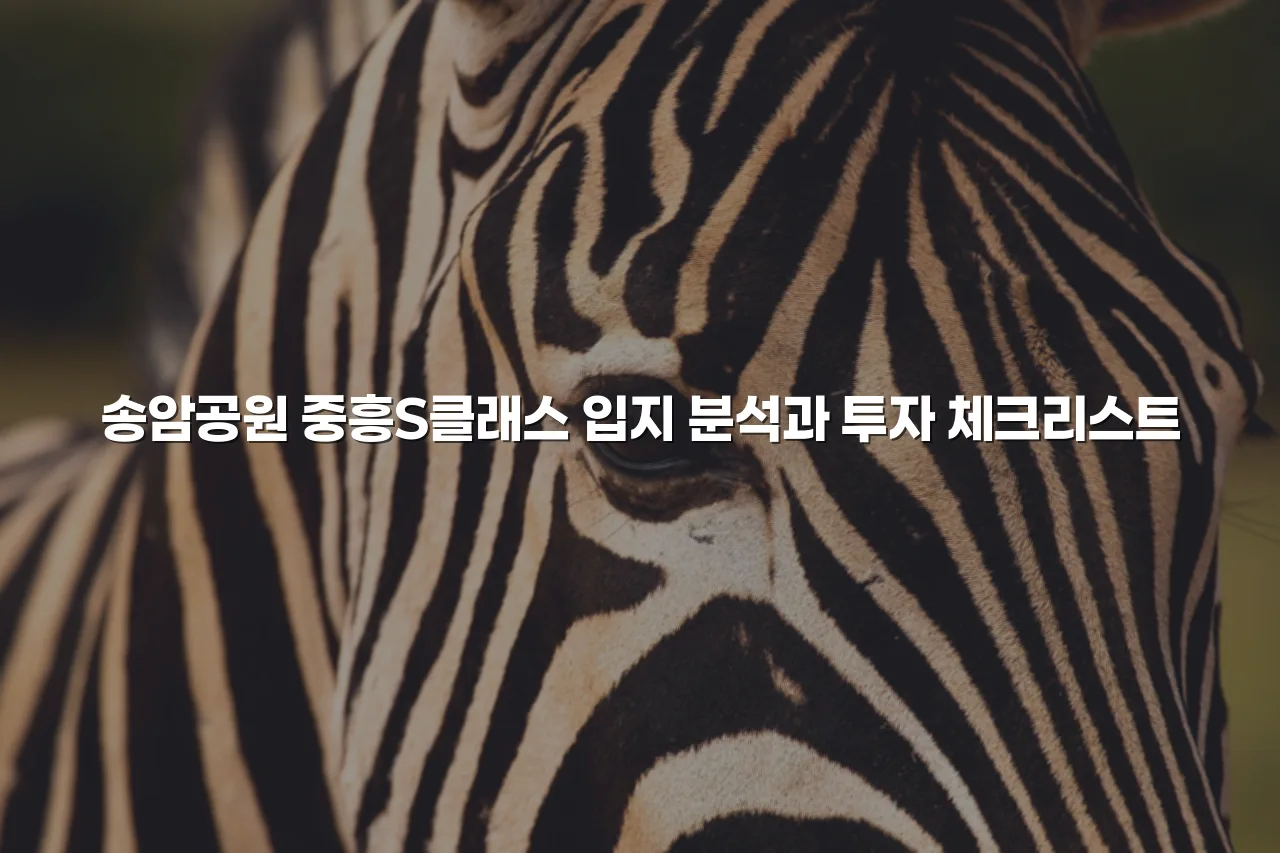 송암공원 중흥S클래스 입지 분석과 투자 체크리스트 6 송암공원 중흥S클래스 입지 분석과 투자 체크리스트