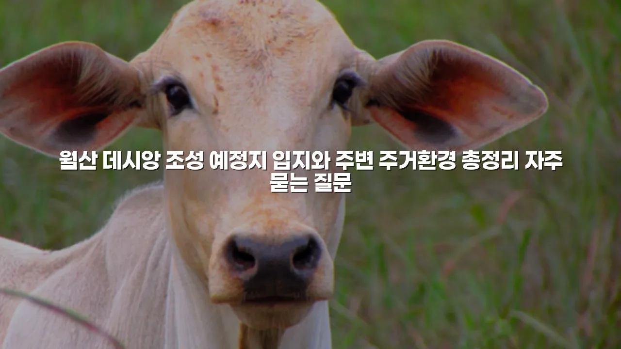 월산 데시앙 조성 예정지 입지와 주변 주거환경 총정리 3 월산 데시앙 조성 예정지 입지와 주변 주거환경 총정리