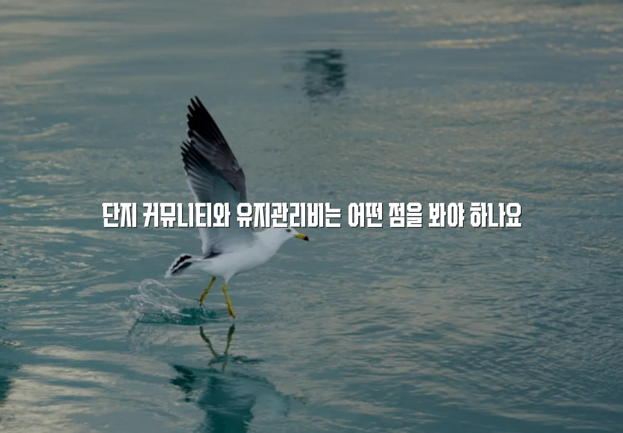월산 데시앙 주거환경 변화 요소 7가지 체크리스트 5 월산 데시앙 주거환경 변화 요소 7가지 체크리스트