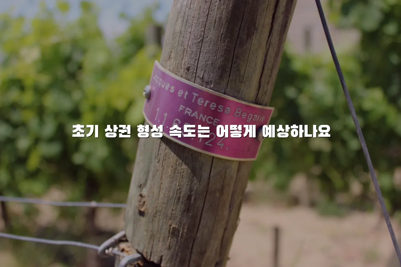 중앙공원 롯데캐슬 입지로 본 주거여건 총정리