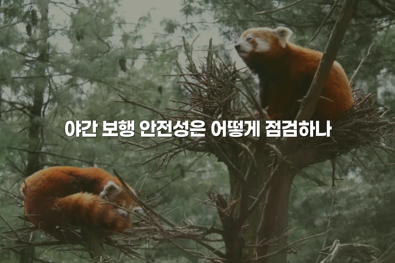 광주 중앙공원 롯데캐슬 교통 접근성 체크리스트 5가지 6 광주 중앙공원 롯데캐슬 교통 접근성 체크리스트 5가지