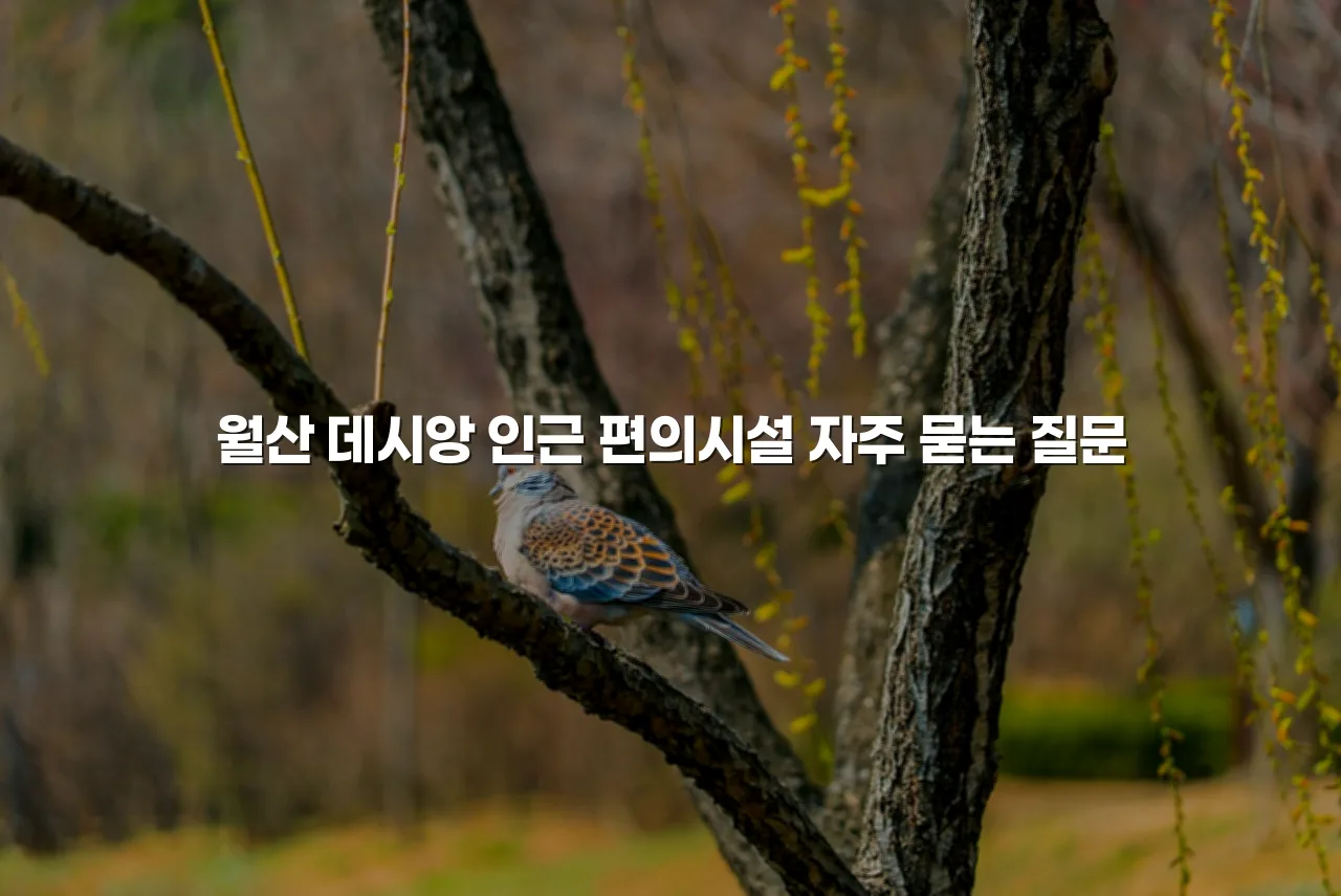 월산 데시앙 인근 편의시설 총정리 및 거리별 안내 5 월산 데시앙 인근 편의시설 총정리 및 거리별 안내