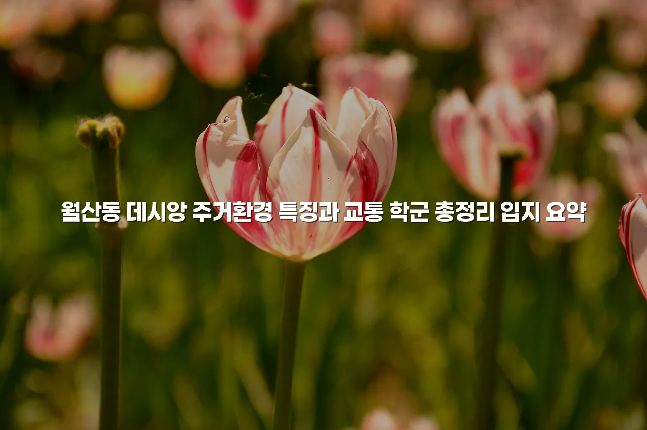 월산동 데시앙 주거환경 특징과 교통 학군 총정리 3 월산동 데시앙 주거환경 특징과 교통 학군 총정리