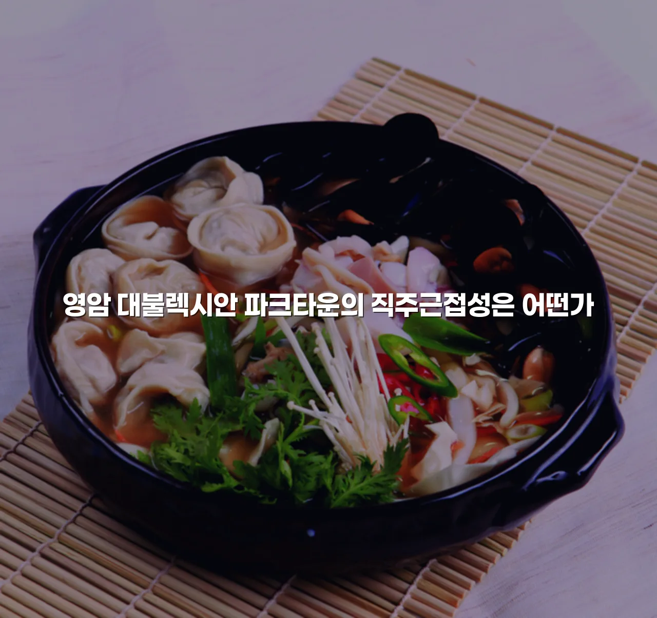영암 대불렉시안 파크타운 입지 환경 체크리스트 3 영암 대불렉시안 파크타운 입지 환경 체크리스트