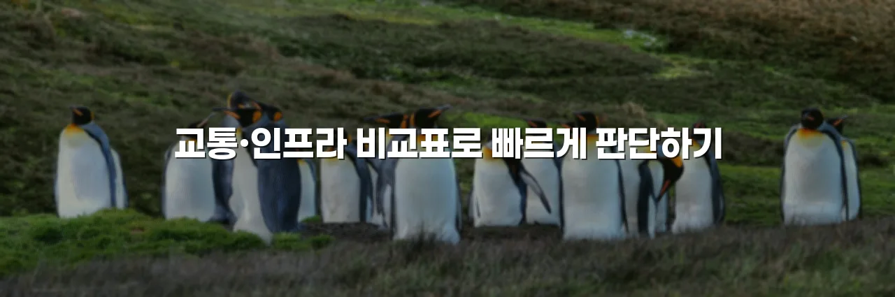 영암 대불렉시안 파크타운 입지 환경 체크리스트 5 영암 대불렉시안 파크타운 입지 환경 체크리스트