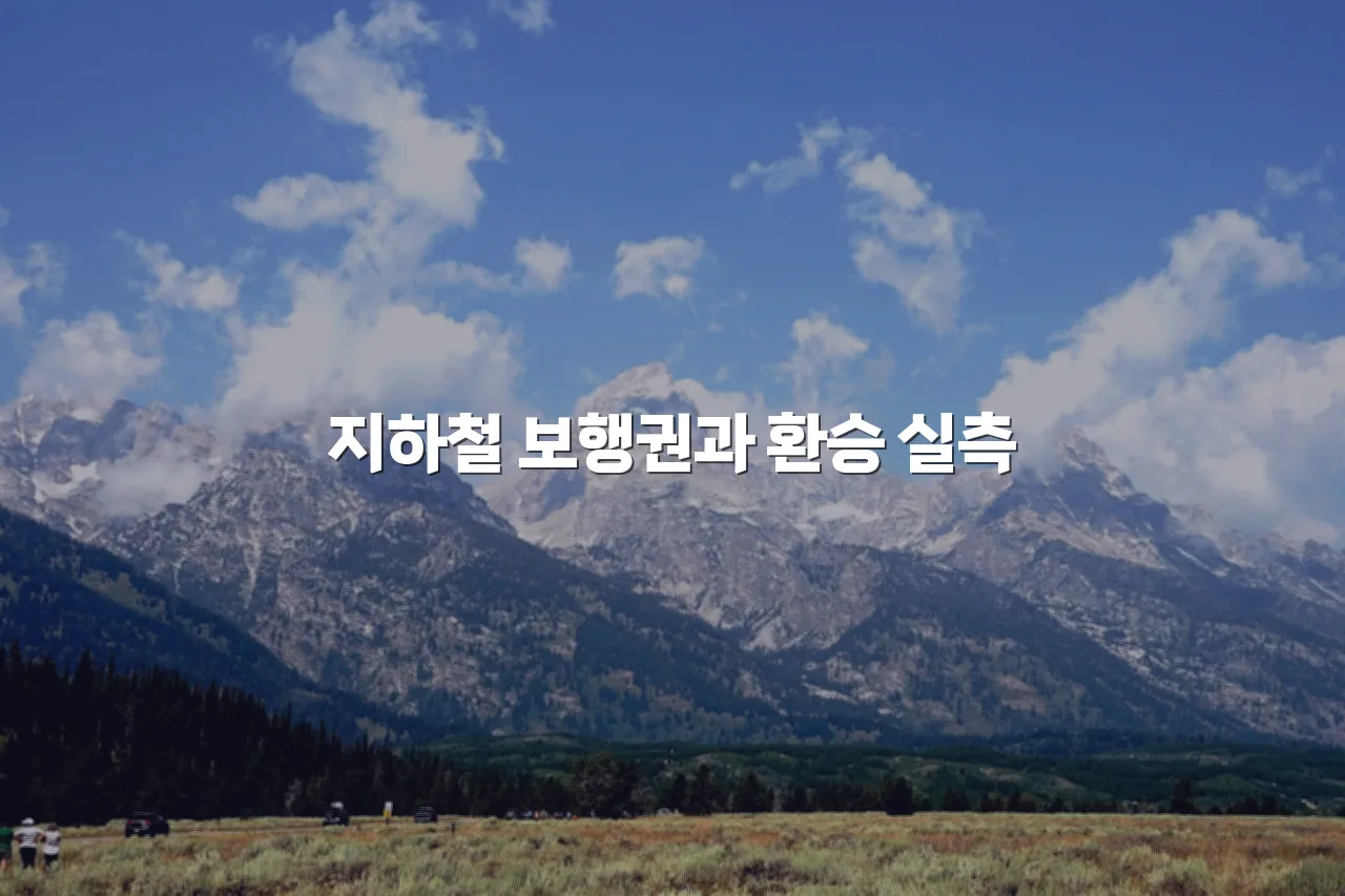 중앙공원 롯데캐슬 교통 접근성 체크리스트